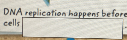 DNA replication happens before 
cells