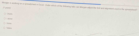 Morgan is working on a spreadsheet in Excel. Under which of the following tabs can Morgan adjust the font and alignment used in the spreadsheet?
(1 point)
Charts
Layout
Home
Tables