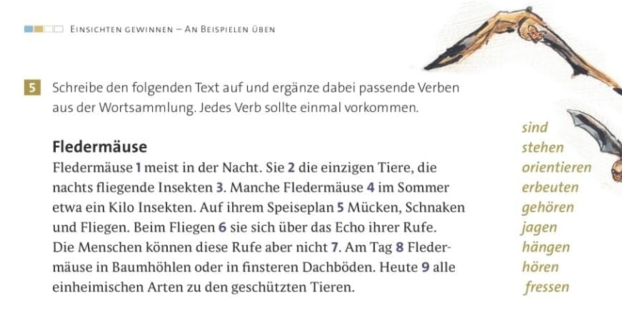 Einsichten gewinnen - An Beispielen üben 
S Schreibe den folgenden Text auf und ergänze dabei passende Verben 
aus der Wortsammlung. Jedes Verb sollte einmal vorkommen. 
sind 
Fledermäuse stehen 
Fledermäuse 1 meist in der Nacht. Sie 2 die einzigen Tiere, die orientieren 
nachts fliegende Insekten 3. Manche Fledermäuse 4 im Sommer erbeuten 
etwa ein Kilo Insekten. Auf ihrem Speiseplan 5 Mücken, Schnaken gehören 
und Fliegen. Beim Fliegen 6 sie sich über das Echo ihrer Rufe. jagen 
Die Menschen können diese Rufe aber nicht 7. Am Tag 8 Fleder- hängen 
mäuse in Baumhöhlen oder in finsteren Dachböden. Heute 9 alle hören 
einheimischen Arten zu den geschützten Tieren. fressen