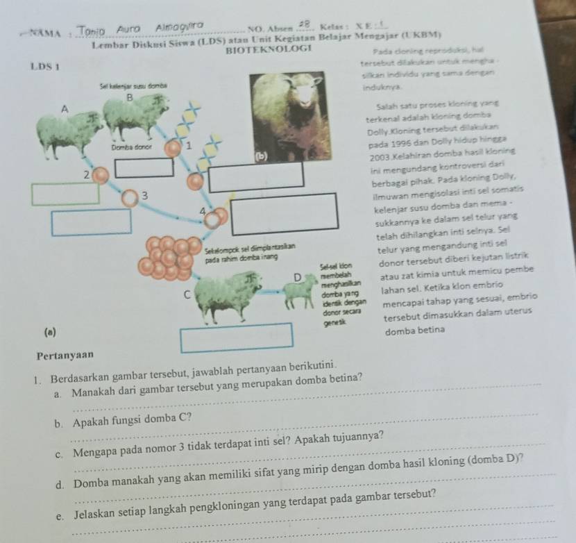 A NAMA : Tania Aura Almagvira NO. Absen ,, Kelas : XE_ 
Lembar Diskusi Siswa (LDS) atau Unit Kegiatan Belajar Mengajar (UKBM) 
BIOTEKNOLOGI Pada cloning reproduksi, hal 
ut dišakukan untuk mengha 
individu yang sama dengan 
induknya 
lah satu proses kloning yang 
enal adalah kloning domba 
y.Kloning tersebut dilakukan 
a 1996 dan Dolly hidup hingga
3 Kelahiran domba hasil kloning 
mengundang köntroversi dari 
bagai pihak. Pada kloning Dolly, 
uwan mengisolasi intī sel somatis 
lenjar susu domba dan mema - 
kkannya ke dalam sel telur yang 
lah dihilangkan inti selnya. Sel 
elur yang mengandung inti sel 
onor tersebut diberi kejutan listrik 
tau zat kimia untuk memicu pembe 
ahan sel. Ketika klon embrío 
mencapai tahap yang sesuai, embrio 
tersebut dimasukkan dalam uterus 
domba betina 
1. Berdasarkan gambar tersebut, jawablah pertanyaan berikutini. 
a. Manakah dari gambar tersebut yang merupakan domba betina? 
_ 
b. Apakah fungsi domba C? 
c. Mengapa pada nomor 3 tidak terdapat inti sel? Apakah tujuannya? 
d. Domba manakah yang akan memiliki sifat yang mirip dengan domba hasil kloning (domba D)? 
_ 
e. Jelaskan setiap langkah pengkloningan yang terdapat pada gambar tersebut? 
_
