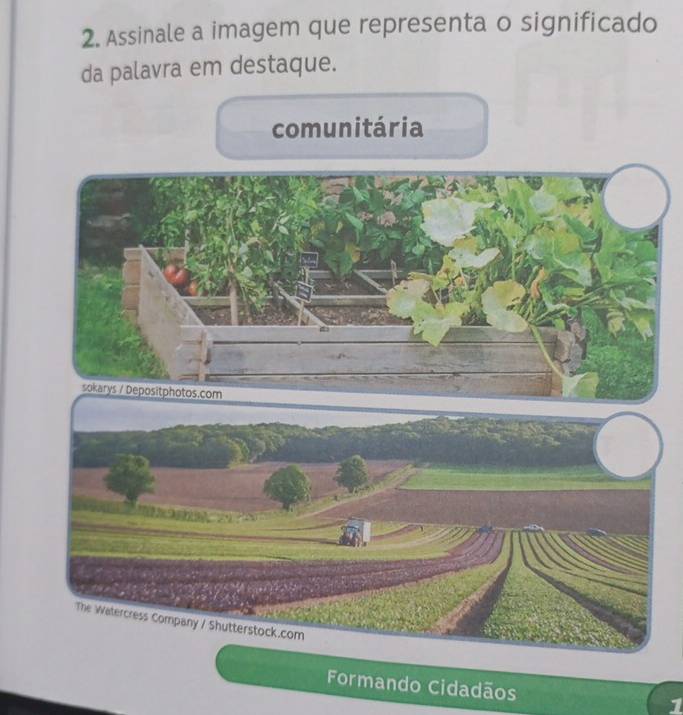 Assinale a imagem que representa o significado 
da palavra em destaque. 
comunitária 
Formando Cidadãos