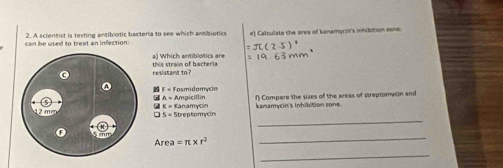 A scientist is testing antibiotic bacteria to see which antibiotics
a can be used to treat an infection: e) Calculate the area of kanamycin's inhibition zone. 
a) Which antibiotics are 
this strain of bacteria 
resistant to?
F= Fosmidomycin 
x A= Ampicillin 
f) Compare the sizes of the areas of streptomycin and
K= Kanamycin 
_
S= Streptomycin kanamycin's Inhibition zone. 
_ 
Area =π * r^2
_