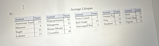 Average Lifespan
8)