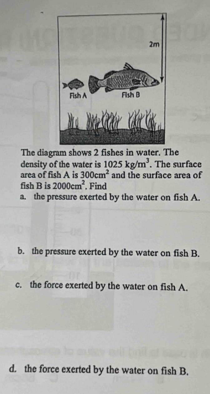 The diagram shows 2 fishes in water. The 
density of the water is 1025kg/m^3. The surface 
area of fish A is 300cm^2 and the surface area of 
fish B is 2000cm^2 Find 
a. the pressure exerted by the water on fish A. 
b. the pressure exerted by the water on fish B. 
c. the force exerted by the water on fish A. 
d. the force exerted by the water on fish B.