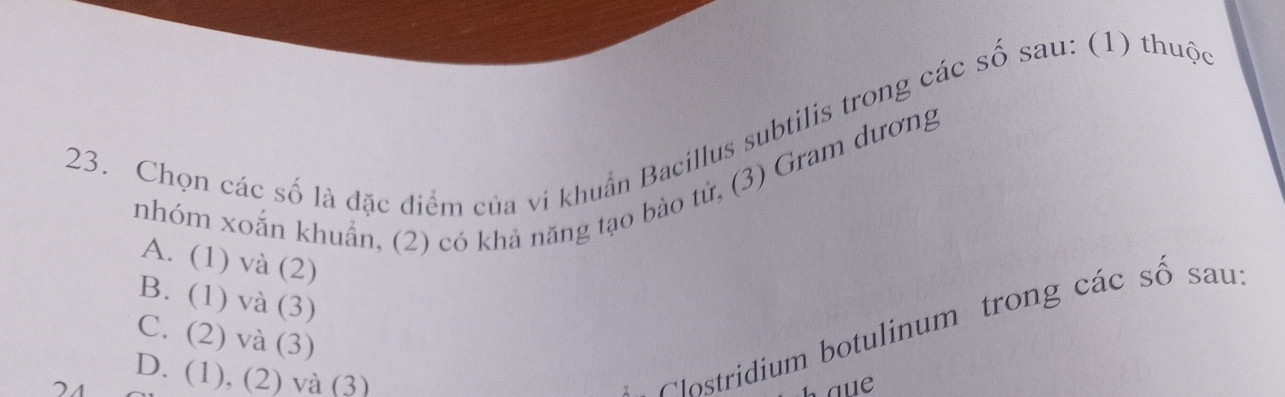 Chọn các số là đặc điểm của vi khuẩn Bacillus subtilis trong các số sau: (1) thuộc
nhóm xoắn khuẩn, (2) có khả năng tạo bào tử, (3) Gram dương
A. (1) và (2)
B. (1) và (3)
C. (2) và (3)
D. (1), (2) và (3)
Clostridium botulinum trong các số sau
24 h aue