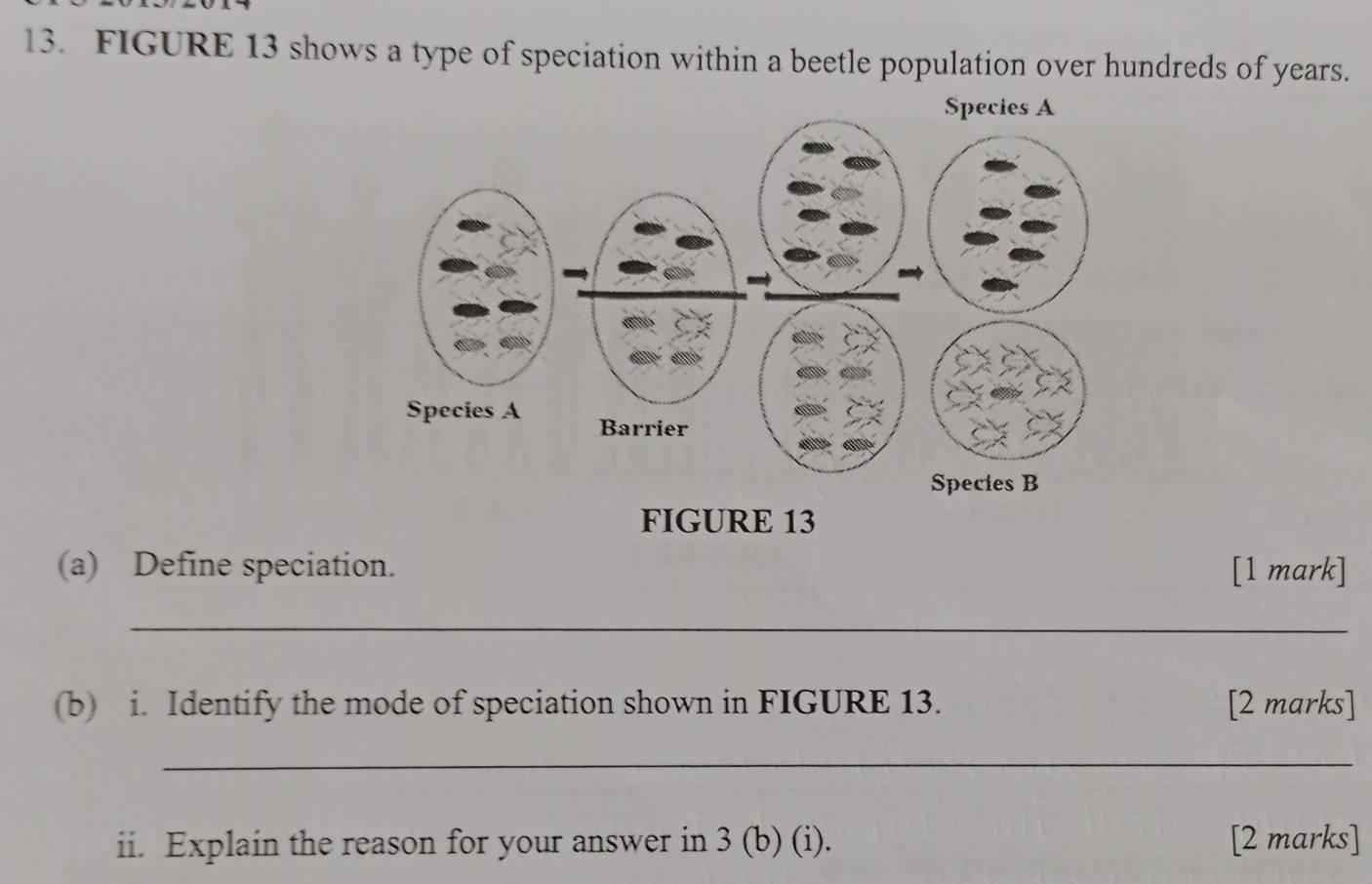 FIGURE 13 shows a type of speciation within a beetle population over hundreds of years. 
GURE 13 
(a) Define speciation. [1 mark] 
_ 
(b) i. Identify the mode of speciation shown in FIGURE 13. [2 marks] 
_ 
ii. Explain the reason for your answer in 3 (b) (i). [2 marks]