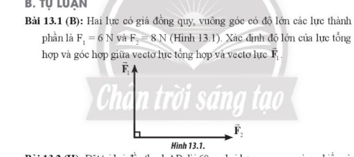 tự luan 
Bài 13.1 (B): Hai lực có giá đồng quy, vuông góc có độ lớn các lực thành 
phần là F_1=6N và F_2=8N (Hình 13.1). Xác định độ lớn của lực tổng 
hợp và góc hợp giữa vectơ lực tổng hợp và vectơ lực vector F_1.
F_1
Chân trời sáng tạo
vector F_2
Hình 13.1.