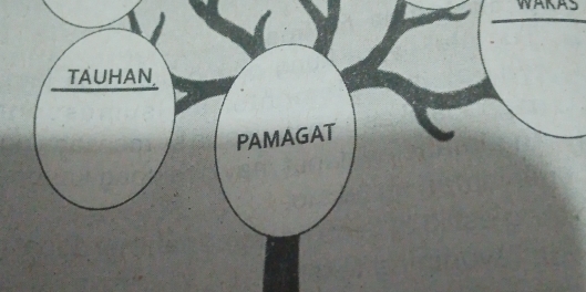 TAUHAN, 
PAMAGAT