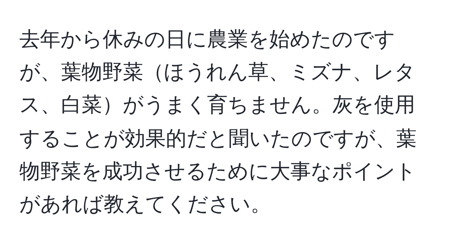 去年から休みの日に農業を始めたのですが、葉物野菜ほうれん草、ミズナ、レタス、白菜がうまく育ちません。灰を使用することが効果的だと聞いたのですが、葉物野菜を成功させるために大事なポイントがあれば教えてください。