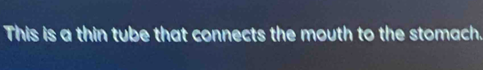 This is a thin tube that connects the mouth to the stomach.