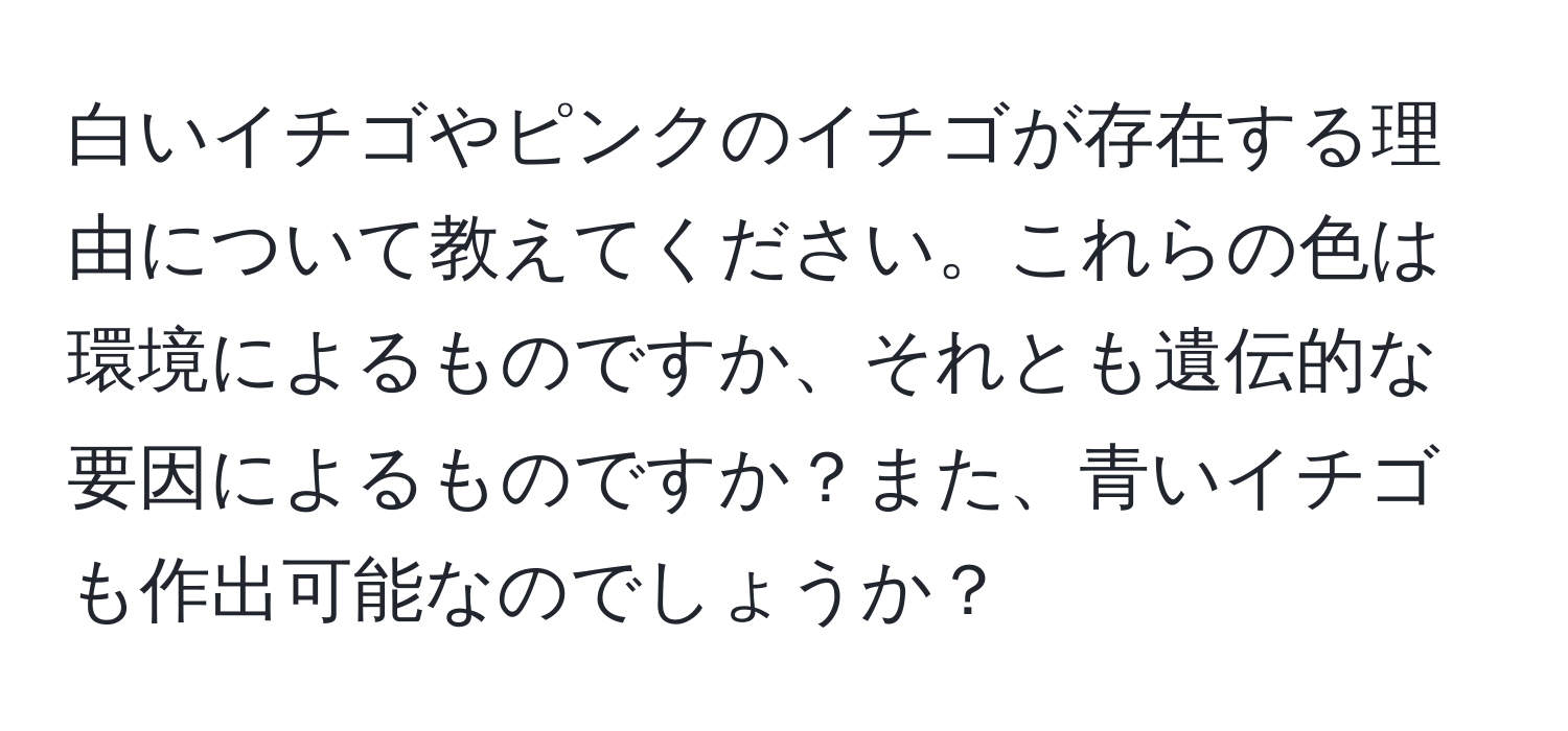 白いイチゴやピンクのイチゴが存在する理由について教えてください。これらの色は環境によるものですか、それとも遺伝的な要因によるものですか？また、青いイチゴも作出可能なのでしょうか？