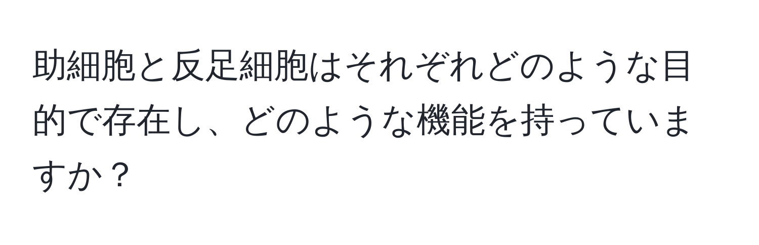 助細胞と反足細胞はそれぞれどのような目的で存在し、どのような機能を持っていますか？