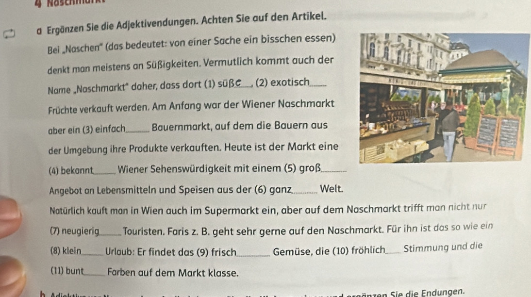 a Ergänzen Sie die Adjektivendungen. Achten Sie auf den Artikel. 
Bei „Naschen'' (das bedeutet: von einer Sache ein bisschen essen) 
denkt man meistens an Süßigkeiten. Vermutlich kommt auch der 
Name „Naschmarkt' daher, dass dort (1) süß , (2) exotisch_ 
Früchte verkauft werden. Am Anfang war der Wiener Naschmarkt 
aber ein (3) einfach_ Bauernmarkt, auf dem die Bauern aus 
der Umgebung ihre Produkte verkauften. Heute ist der Markt eine 
(4) bekannt_ Wiener Sehenswürdigkeit mit einem (5) groß_ 
Angebot an Lebensmitteln und Speisen aus der (6) ganz,_ Welt. 
Natürlich kauft man in Wien auch im Supermarkt ein, aber auf dem Naschmarkt trifft man nicht nur 
(7) neugierig_ Touristen. Faris z. B. geht sehr gerne auf den Naschmarkt. Für ihn ist das so wie ein 
(8) klein_ Urlaub: Er findet das (9) frisch_ Gemüse, die (10) fröhlich_ Stimmung und die 
(11) bunt_ Farben auf dem Markt klasse. 
än z en Sie die Endungen.