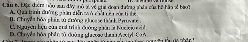 phosphate. D. adenme va Hoose.
Cầu 6. Đặc điểm nào sau đây mồ tả về giai đoạn đường phân của hô hấp tế bào?
A. Quá trình đường phân diễn ra ở chất nền của ti thể.
B. Chuyển hóa phân tử đường glucose thành Pyruvate .
C. Nguyên liệu của quá trình đường phân là Nucleic acid.
D. Chuyển hóa phân tử đường glucose thành Acetyl-CoA.
a ta o th eo nguyên tắc đa phân?