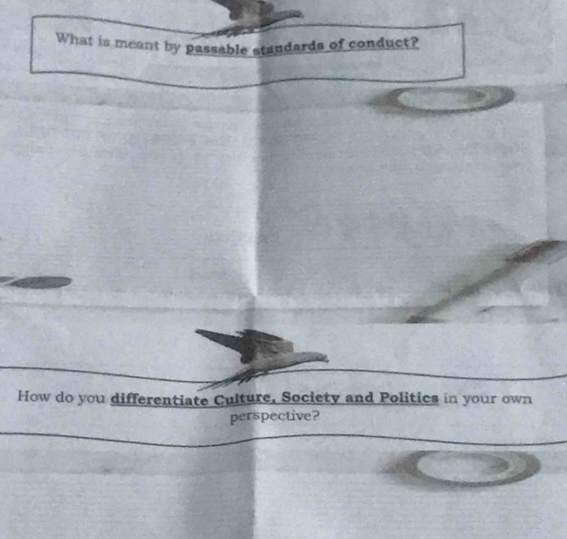 What is meant by passable staudards of conduct? 
How do you differentiate Culture, Society and Politics in your own 
perspective?