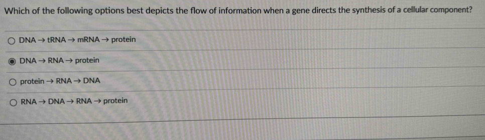 Which of the following options best depicts the flow of information when a gene directs the synthesis of a cellular component?
DNA →tRNA →mRNA → protein
DNA → RNA → protein
protein → RNA → DNA
RNA → DNA → RNA → protein