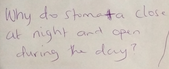 Why do stomota close 
at night and open 
during the day?