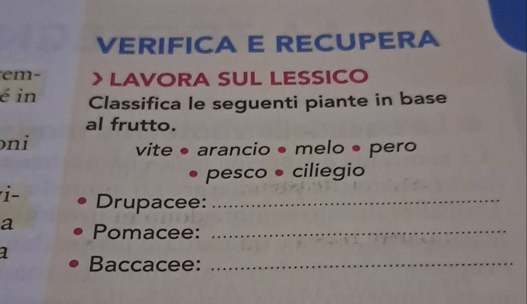 VERIFICA E RECUPERA 
em- 
> LAVORA SUL LESSICO 
é in 
Classifica le seguenti piante in base 
al frutto. 
ɔni 
vite arancio • melo • pero 
pesco • ciliegio 
i- 
Drupacee:_ 
a 
Pomacee:_ 
1 
Baccacee:_