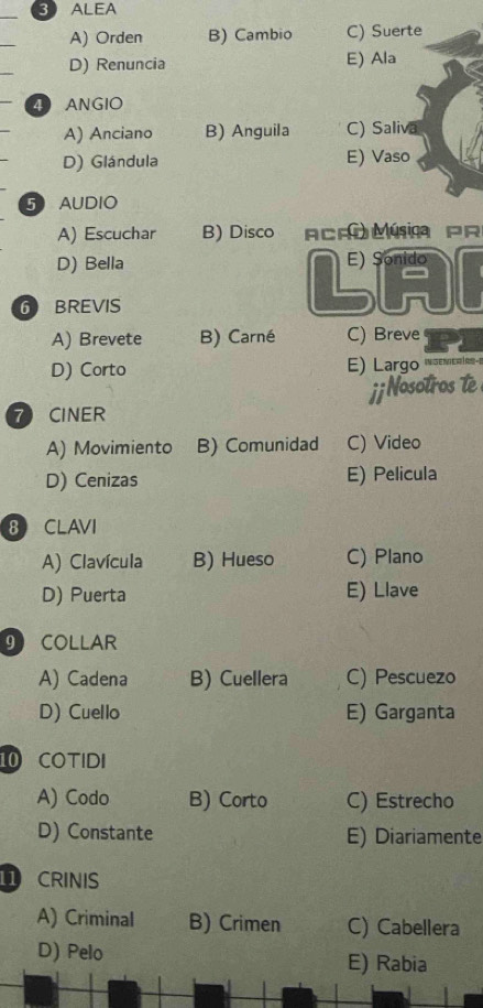 ALEA
A) Orden B) Cambio C) Suerte
D) Renuncia E) Ala
4 ANGIO
A) Anciano B) Anguila C) Saliva
D) Glándula E) Vaso
5 AUDIO
A) Escuchar B) Disco c ACAD Músim PR
D) Bella
6 BREVIS
LAI
A) Brevete B) Carné C) Breve
D) Corto E) Largo ισενεκίκ--
j j Nosotros te
7 CINER
A) Movimiento B) Comunidad C) Video
D) Cenizas E) Pelicula
8 CLAVI
A) Clavícula B) Hueso C) Plano
D) Puerta E) Llave
⑨ COLLAR
A) Cadena B) Cuellera C) Pescuezo
D) Cuello E) Garganta
10 COTIDI
A) Codo B) Corto C) Estrecho
D) Constante E) Diariamente
CRINIS
A) Criminal B) Crimen C) Cabellera
D) Pelo E) Rabia