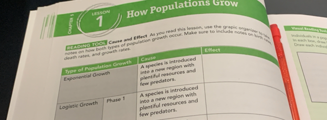 LESSON How Populations Grow 
Visual Reading Tool 
1 In each box, draw 
use and Effect As you read this lesson, use the grapic organizer to u, Individuals in a pop 
ion growth occur. Make sure to include notes on birth n 
raw each individ