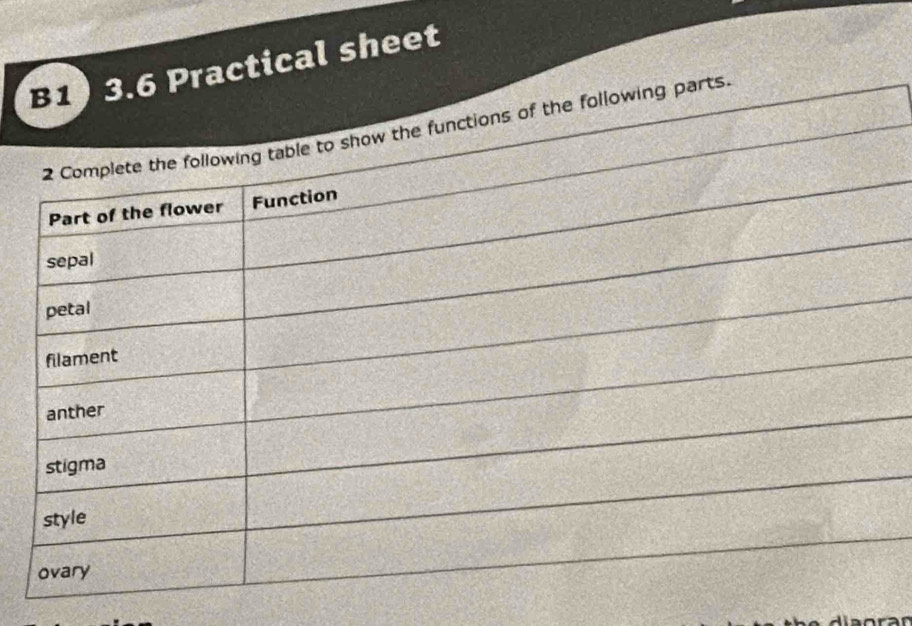 ctical sheet