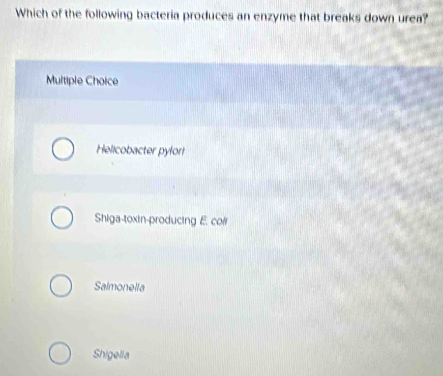 Which of the following bacteria produces an enzyme that breaks down urea?
Multiple Choice
Helicobacter pylor!
Shiga-toxin-producing E coli
Salmonella
Shigella