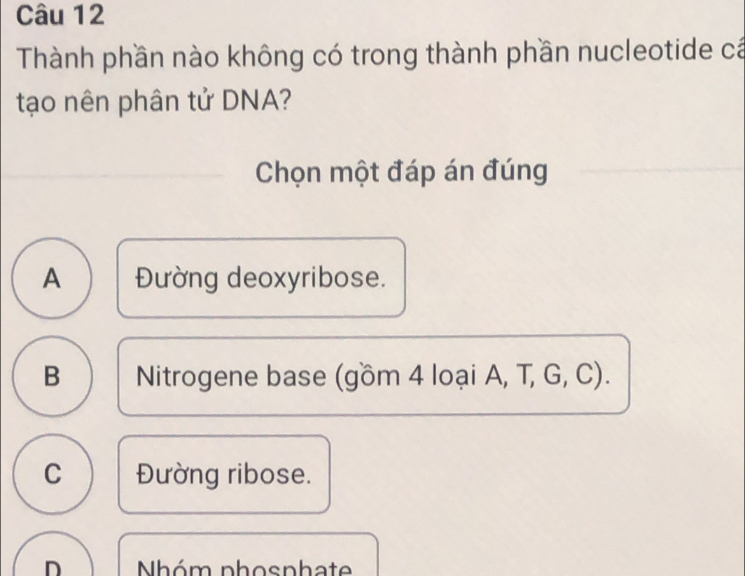 Thành phần nào không có trong thành phần nucleotide cá
tạo nên phân tử DNA?
Chọn một đáp án đúng
A Đường deoxyribose.
B Nitrogene base (gồm 4 loại A, T, G, C).
C Đường ribose.
D Nhóm phosphate