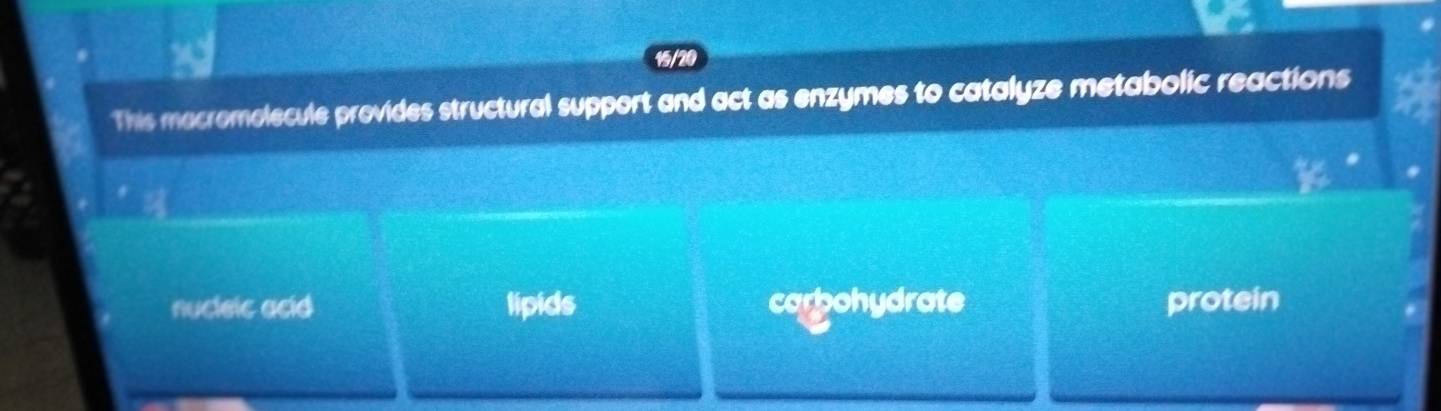 15/20
This macromolecule provides structural support and act as enzymes to catalyze metabolic reactions
nucleic acid lipids carbohydrate protein