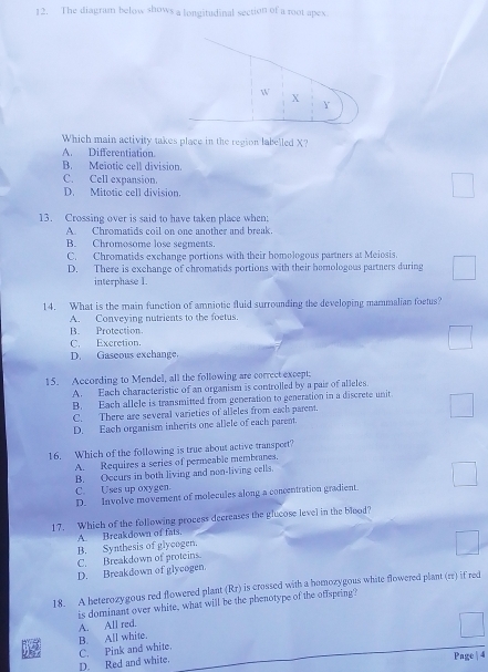 The diagram below shows a longitudinal section of a root apex
Which main activity takes place in the region labelled X?
A. Differentiation
B. Meiotic cell division.
C. Cell expansion.
D. Mitotic cell division.
13. Crossing over is said to have taken place when:
A. Chromatids coil on one another and break.
B. Chromosome lose segments.
C. Chromatids exchange portions with their homologous partners at Meiosis.
D. There is exchange of chromatids portions with their hemologous partners during
interphase I.
14. What is the main function of amniotic fluid surrounding the developing mammalian foetus?
A. Conveying nutrients to the foetus.
B. Protection
C. Excretion.
D. Gaseous exchange.
15. According to Mendel, all the following are correct except;
A. Each characteristic of an organism is controlled by a pair of alleles.
B. Each allele is transmitted from generation to generation in a discrete unit
C. There are several varieties of alleles from each parent.
D. Each organism inherits one allele of each parent.
16. Which of the following is true about active transport?
A. Requires a series of permeable membranes.
B. Occurs in both living and non-living cells.
C. Uses up oxygen.
D. Involve movement of molecules along a concentration gradient.
17. Which of the following process decreases the glucose level in the blood?
A. Breakdown of fats.
B. Synthesis of glycogen.
C. Breakdown of proteins.
D. Breakdown of glycogen.
18. A heterozygous red flowered plant (Rr) is crossed with a homozygous white flowered plant (rr) if red
is dominant over white, what will be the phenotype of the offspring?
A. All red.
C. Pink and white. B. All white.
D. Red and white.
Page| 4