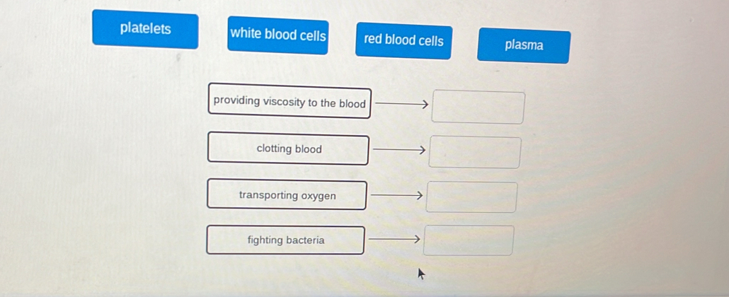 platelets white blood cells red blood cells plasma
providing viscosity to the blood
clotting blood
transporting oxygen
fighting bacteria