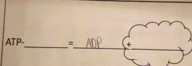 a TP _ 
_ 
_= 
+