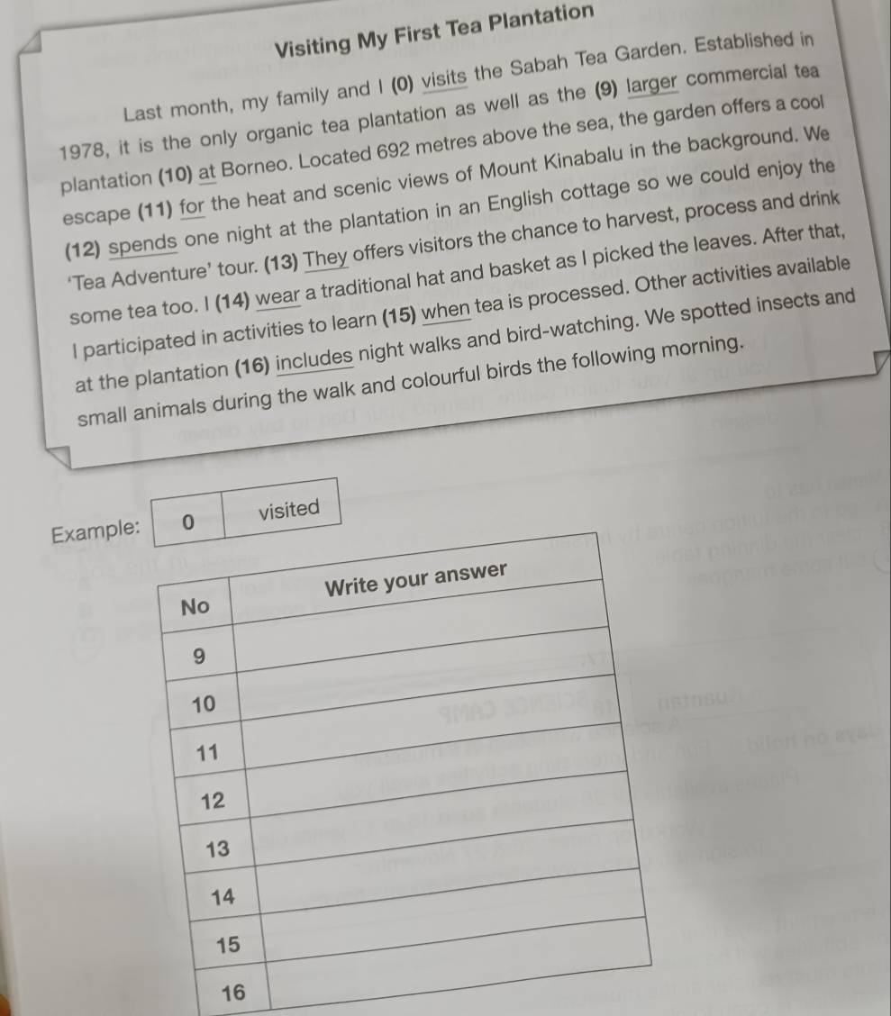 Visiting My First Tea Plantation 
Last month, my family and I (0) visits the Sabah Tea Garden. Established in 
1978, it is the only organic tea plantation as well as the (9) larger commercial tea 
plantation (10) at Borneo. Located 692 metres above the sea, the garden offers a cool 
escape (11) for the heat and scenic views of Mount Kinabalu in the background. We 
(12) spends one night at the plantation in an English cottage so we could enjoy the 
‘Tea Adventure’ tour. (13) They offers visitors the chance to harvest, process and drink 
some tea too. I (14) wear a traditional hat and basket as I picked the leaves. After that, 
l participated in activities to learn (15) when tea is processed. Other activities available 
at the plantation (16) includes night walks and bird-watching. We spotted insects and 
small animals during the walk and colourful birds the following morning. 
Exampl visited 
16