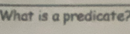 What is a predicate?