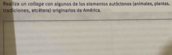 Realiza un college con algunos de los elementos autóctonos (animales, plantas, 
tradiciones, etcétera) originarios de América.