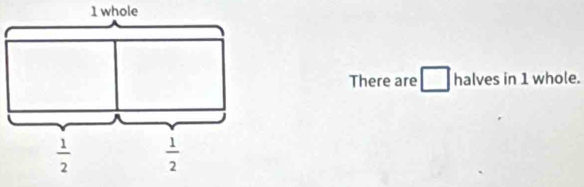 There are halves in 1 whole.