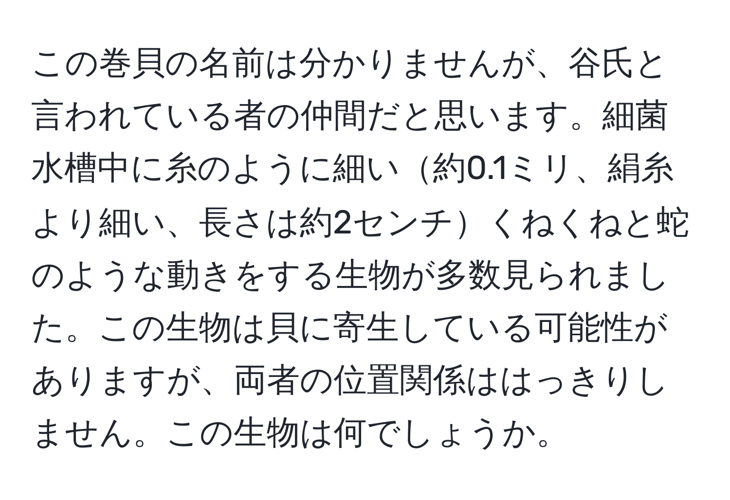 この巻貝の名前は分かりませんが、谷氏と言われている者の仲間だと思います。細菌水槽中に糸のように細い約0.1ミリ、絹糸より細い、長さは約2センチくねくねと蛇のような動きをする生物が多数見られました。この生物は貝に寄生している可能性がありますが、両者の位置関係ははっきりしません。この生物は何でしょうか。