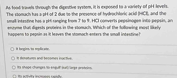 As food travels through the digestive system, it is exposed to a variety of pH levels.
The stomach has a pH of 2 due to the presence of hydrochloric acid (HCI), and the
small intestine has a pH ranging from 7 to 9. HCI converts pepsinogen into pepsin, an
enzyme that digests proteins in the stomach. Which of the following most likely
happens to pepsin as it leaves the stomach enters the small intestine?
It begins to replicate.
It denatures and becomes inactive.
Its shape changes to engulf (eat) large proteins.
Its activity increases rapidly.