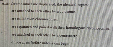 After chromosomes are duplicated, the identical copies:
are attached to each other by a cytosome.
are called twin chromosomes.
are separated and paired with their homologous chromosomes.
are attached to each other by a centromere.
divide again before mitosis can begin.