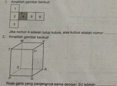 Amatilah gambar berikut! 
1
2 4 5 6
3 
Jika nomor 4 adalah tutup kubus, alas kubus adalah nomor_ 
2. Amatilah gambar berikut! 
Ruas garis yang panjangnya sama denqan SU adalah