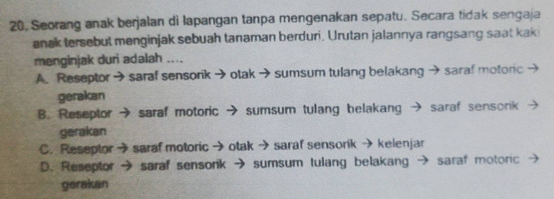 20, Seorang anak berjalan di lapangan tanpa mengenakan sepatu. Secara tidak sengaja
anak tersebut menginjak sebuah tanaman berduri. Urutan jalannya rangsang saat kak
menginjak duri adalah ....
A. Reseptor → saraf sensorik → otak → sumsum tulang belakang → saraf motoric
gerakan
B. Reseptor → saraf motoric → sumsum tulang belakan h saraf sensonk
gerakan
C. Reseptor → saraf motoric → otak → saraf sensorik →kelenjar
D. Reseptor saraf sensork → sumsum tulang belakang saraf motoric
gerakan
