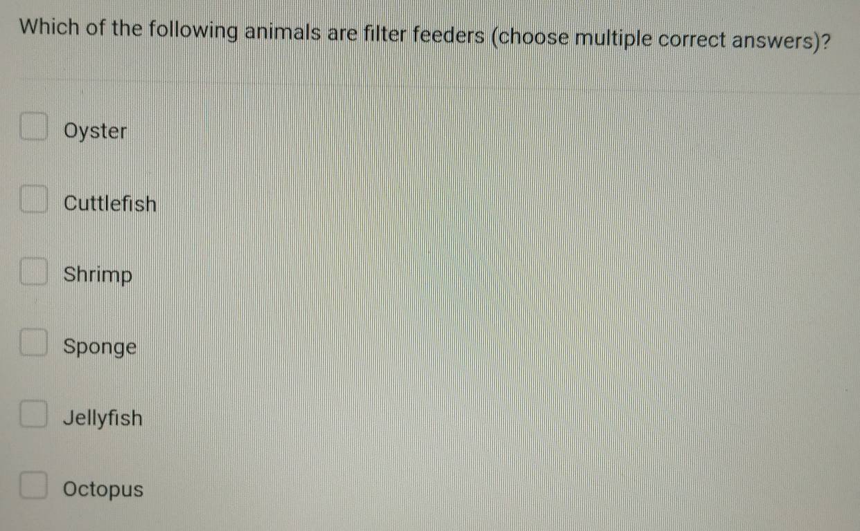 Which of the following animals are filter feeders (choose multiple correct answers)?
Oyster
Cuttlefish
Shrimp
Sponge
Jellyfish
Octopus