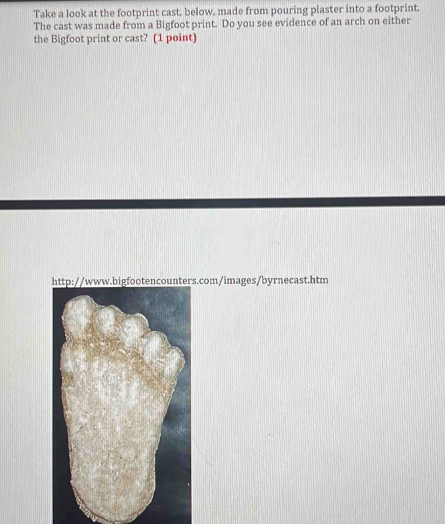 Take a look at the footprint cast, below, made from pouring plaster into a footprint. 
The cast was made from a Bigfoot print. Do you see evidence of an arch on either 
the Bigfoot print or cast? (1 point) 
es/byrnecast.htm