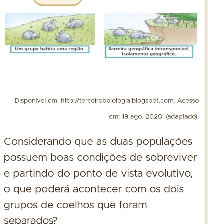 Disponível em: http:∥terceirobbiologia.blogspot.com. Acesso 
em: 19 ago. 2020. (adaptado). 
Considerando que as duas populações 
possuem boas condições de sobreviver 
e partindo do ponto de vista evolutivo, 
o que poderá acontecer com os dois 
grupos de coelhos que foram 
separados?