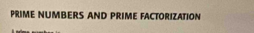 PRIME NUMBERS AND PRIME FACTORIZATION