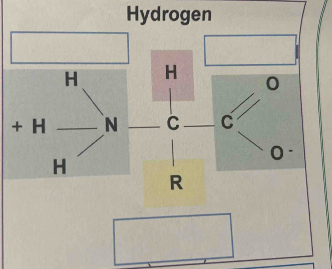 Hydrogen
H
0
_C __
R