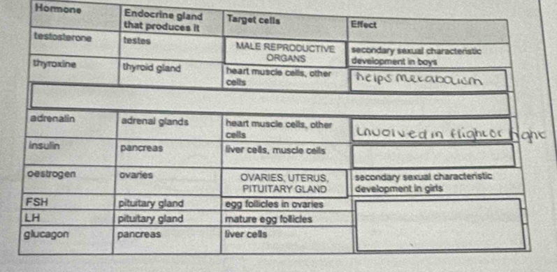 Hormone Endoc