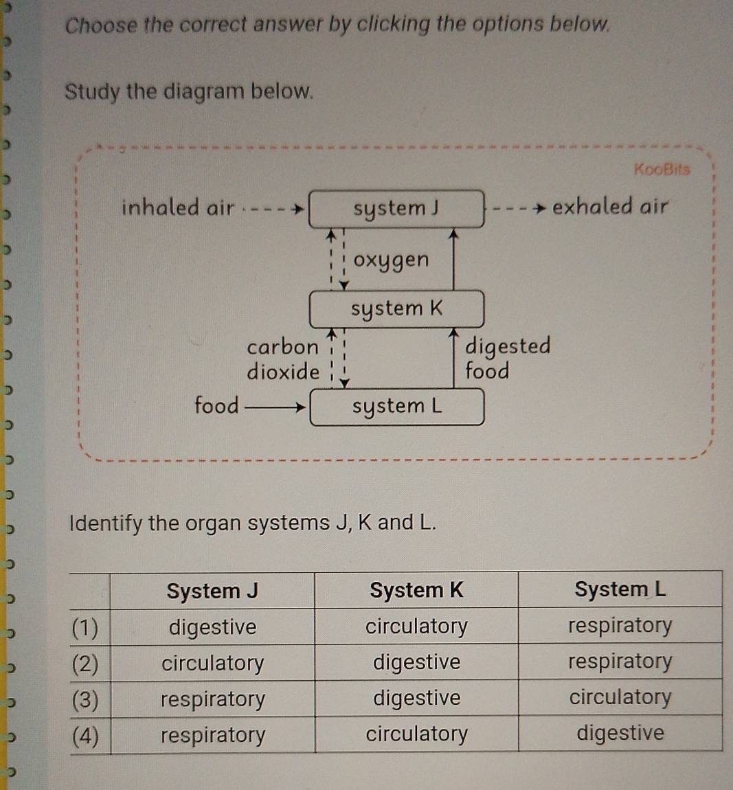 Choose the correct answer by clicking the options below.
)
)
Study the diagram below.
)
)
KooBits
)
inhaled air system J exhaled air
oxygen
)
)
system K
)
carbon digested
dioxide food
D
food system L
)
Identify the organ systems J, K and L.
)