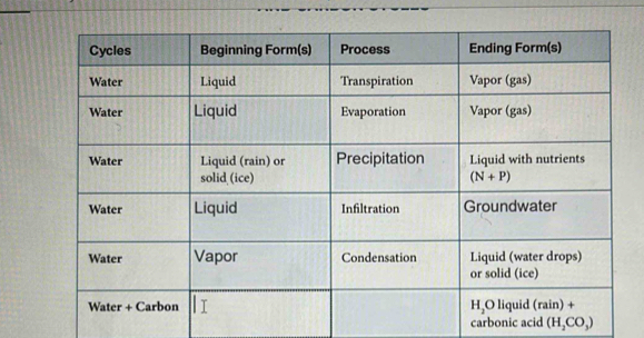 carbonic acid (H_2CO_3)