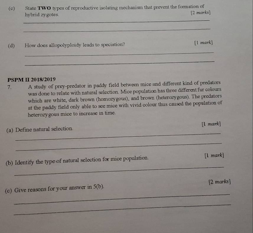 State TWO types of reproductive isolating mechanism that prevent the formation of 
_ 
hybrid zygotes. [2 marks] 
_ 
(d) How does allopolyploidy leads to speciation? [l mark] 
_ 
_ 
PSPM II 2018/2019 
7. A study of prey-predator in paddy field between mice and different kind of predators 
was done to relate with natural selection. Mice population has three different fur colours 
which are white, dark brown (homozygous), and brown (heterozygous). The predators 
at the paddy field only able to see mice with vivid colour thus caused the population of 
heterozygous mice to increase in time. 
_ 
(a) Define natural selection. [l mark] 
_ 
_ 
(b) Identify the type of natural selection for mice population. [1 mark] 
_ 
(c) Give reasons for your answer in 5(b). [2 marks] 
_