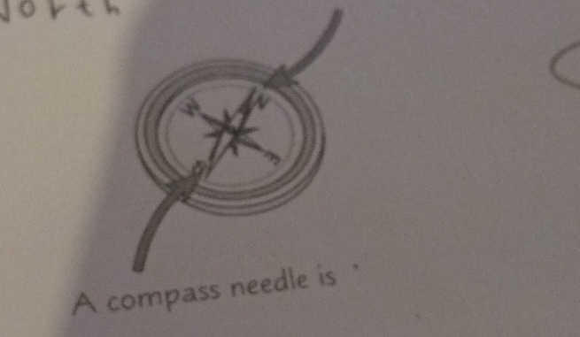 A compass needle is '